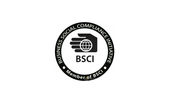 BG大游集团(中国)唯一官方网站