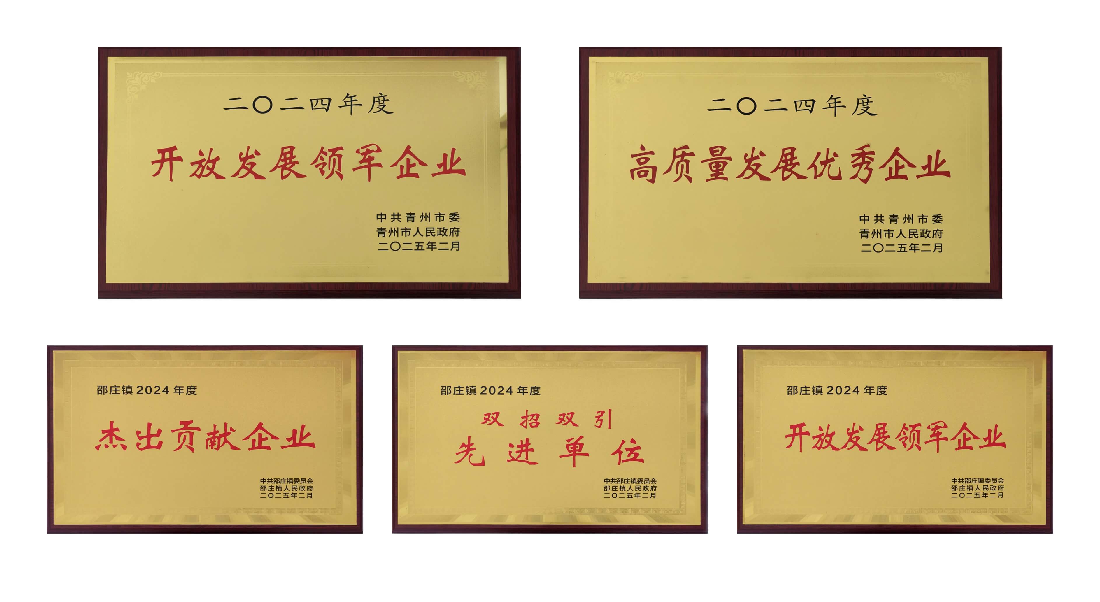 山东BG大游集团荣获多项殊荣